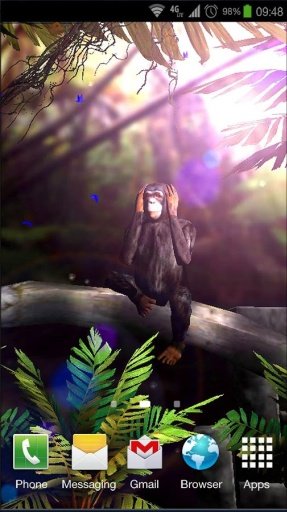 Wise Monkey 3D Free截图3