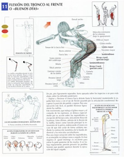 EJERCICIOS PIERNAS Y GLUTEOS截图3