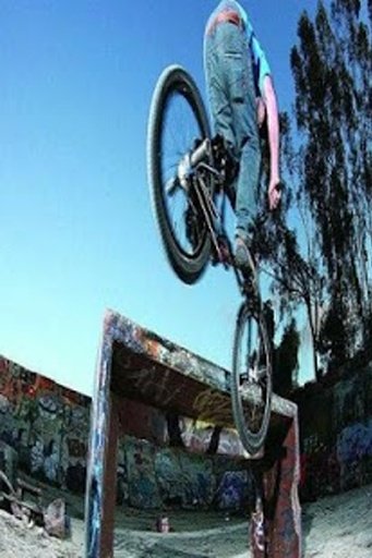 Extreme BMX截图2