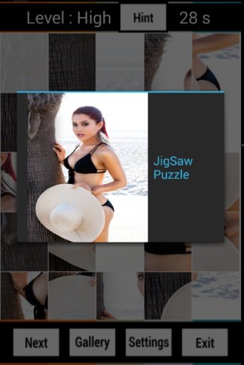 Ariana Grande Hot Puzzle截图3