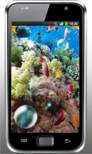 Coral Reef Fish HQ Photo LWP截图7