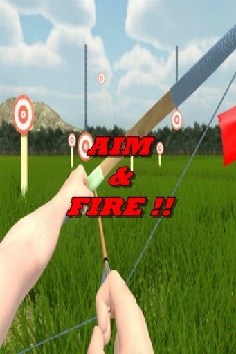 ARCHERY FINAL TOURNAMENT截图5