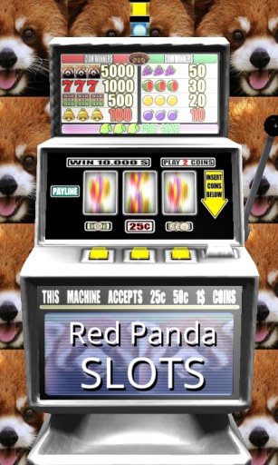 3D Red Panda Slots - Free截图1