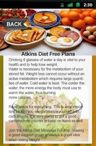 Atkins Diet Free Plans截图2