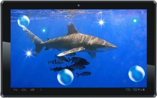 Shark Predator live wallpaper截图1