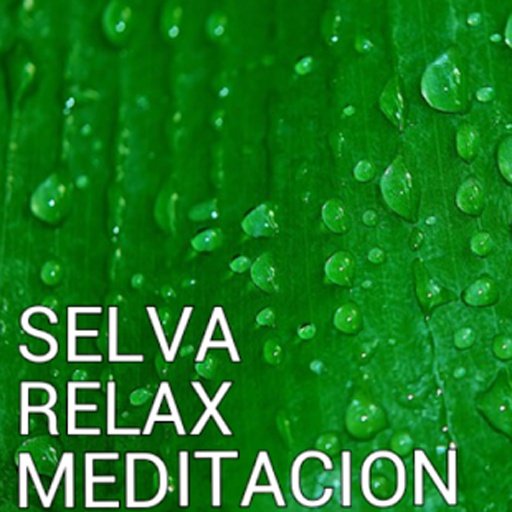 Sonidos relax meditaci&oacute;n selva截图6