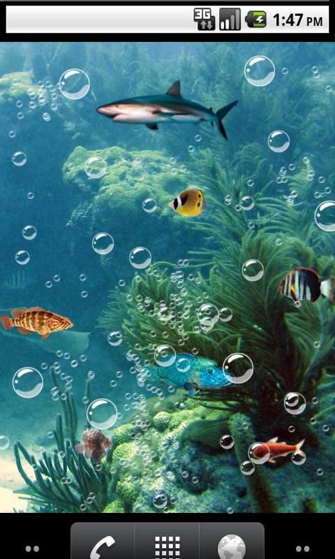 Nature nemo Live Wallpaper截图4