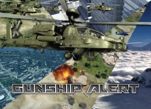 Gunship Alert截图3