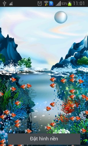 Real Koi Free Live Wallpape截图3