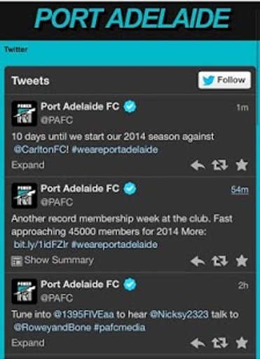 Port Adelaide Power截图5