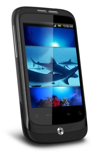 White Shark 3D Live Wallpaper截图2