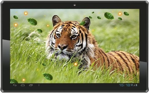 Wild Tigers live wallpaper截图2