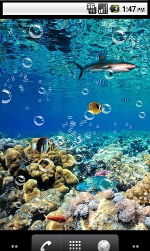 Nature nemo Live Wallpaper截图3