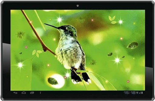 Humming Bird HQ live wallpaper截图3