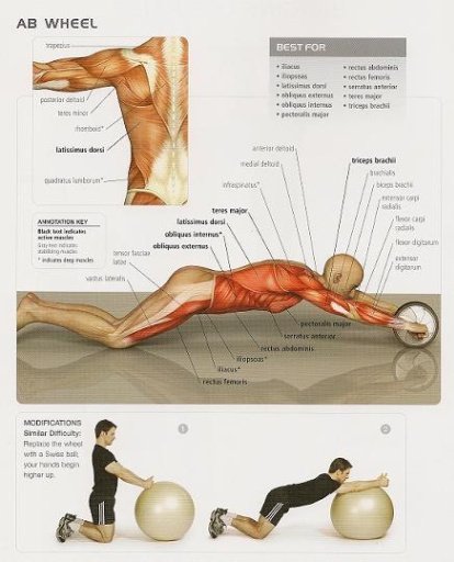 men abs workout截图5