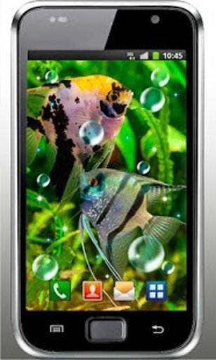 Aquarium Free live wallpaper截图3