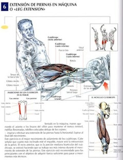 EJERCICIOS PIERNAS Y GLUTEOS截图4