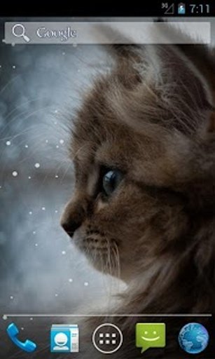 Kitty and Snow Live Wallpapers截图1