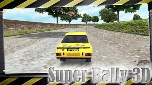 Super Rally 3D截图1