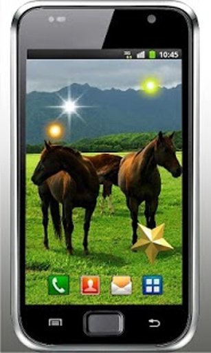 Horses Games live wallpaper截图6