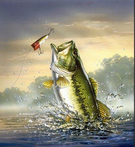 Fishing Fans Paradise截图3