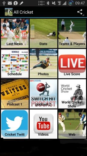 All Cricket截图1