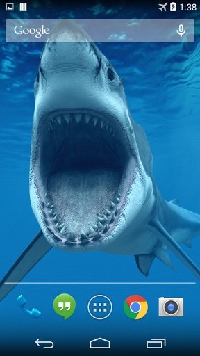 Shark Underwater Wallpaper截图2