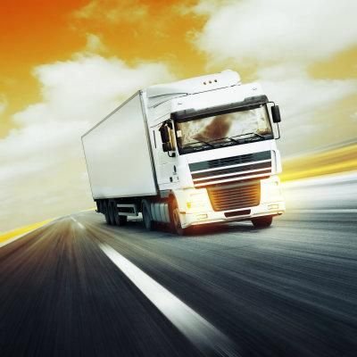 Truck Game Simulation 3D截图7