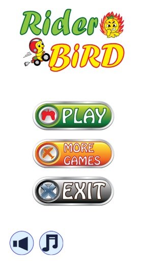 Rider Bird On Highway Death截图7