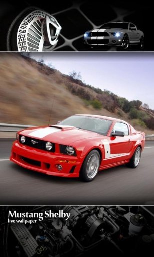 Mustang Motors Live Wallpaper截图3