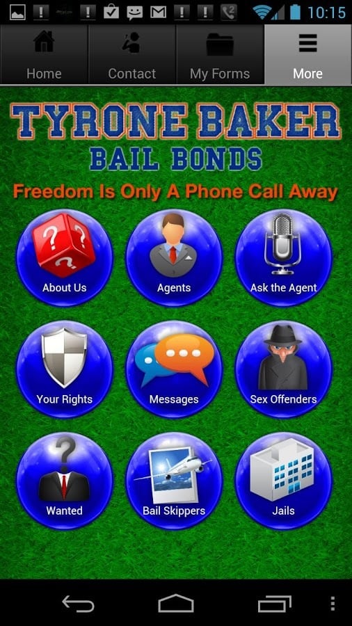 Gainesville Bail截图2