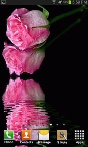 Pink Roses Live Wallpaper截图6