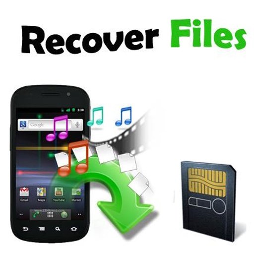 Recover Files SD Card截图1