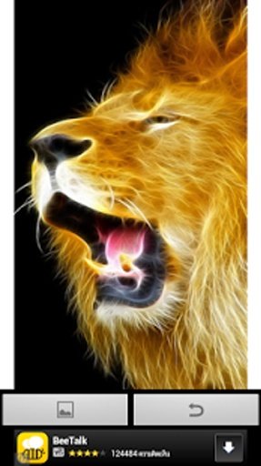 Big lion wallpaper截图5