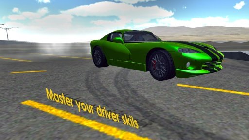 Car Driver 3D截图2