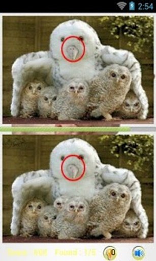 Animals Find Differences截图2