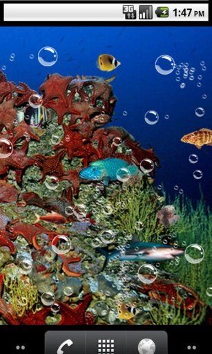 Top underwater Live Wallpaper截图4