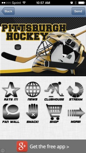 Pittsburgh Hockey *FREE*截图4