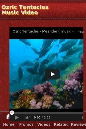 Ozric Tentacles Music Video截图5