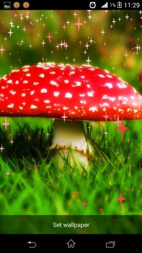 Magic Mushrooms LWP by Rocking截图1