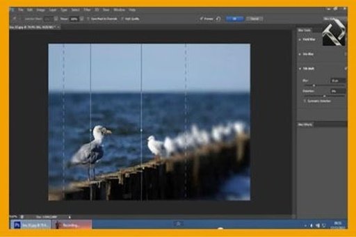 Adobe Photoshop CS6 video截图3