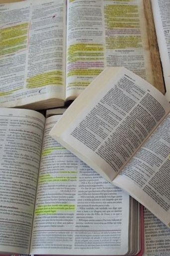 Estudo Biblico截图2