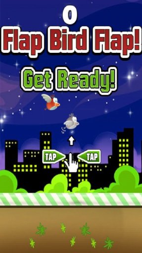 Flap Bird Flap!截图3