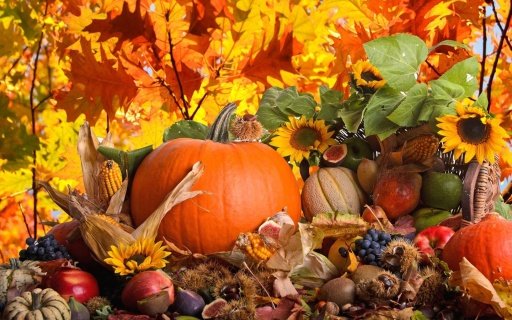 Thanksgiving Theme截图3