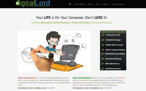 DigitalLord Online Backup截图1