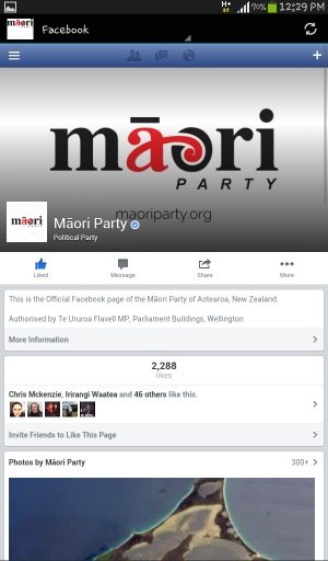 MAORI PARTY截图3