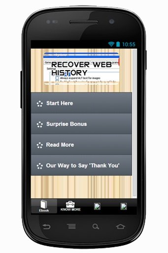 Recover Web History Info截图2