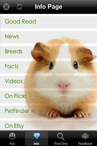 Guinea Pig+ Free截图2