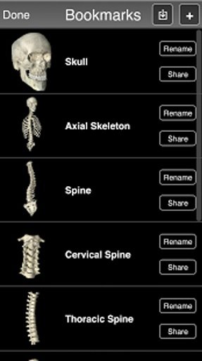 Essential Skeleton 3截图5