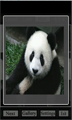 Panda Wallpaper Puzzle截图4